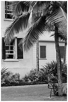 Hulihee Palace detail with coconut tree, Kailua-Kona. Hawaii, USA (black and white)