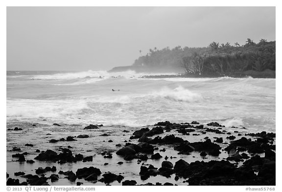 Seascape with strong surf and surfer, Pohoiki. Big Island, Hawaii, USA