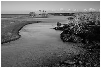 Clear water in channel, Kiholo Bay. Big Island, Hawaii, USA ( black and white)