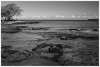 Rocks with bird in distance, Kiholo Bay. Big Island, Hawaii, USA ( black and white)