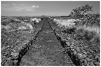 Ancient trail, Kaloko-Honokohau National Historical Park. Hawaii, USA (black and white)