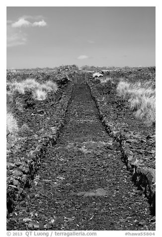 Ancient road made of lava rocks, Kaloko-Honokohau National Historical Park. Hawaii, USA