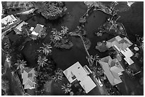 Aerial view of houses and Champagne Ponds. Big Island, Hawaii, USA ( black and white)