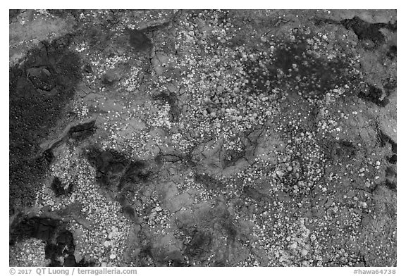 Aerial view of tidepools with coral, Kapoho. Big Island, Hawaii, USA (black and white)