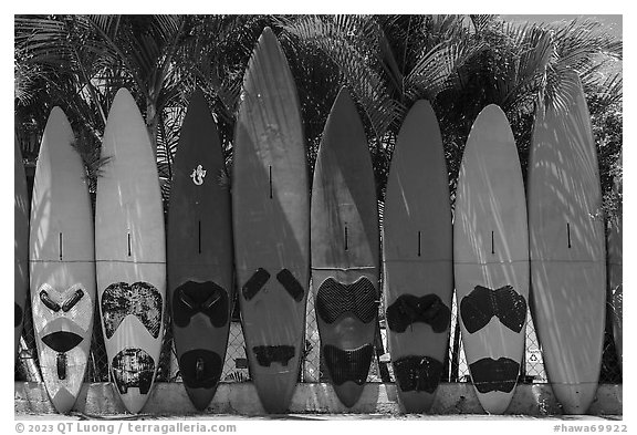 Brightly colored surfboards, Paia. Maui, Hawaii, USA (black and white)
