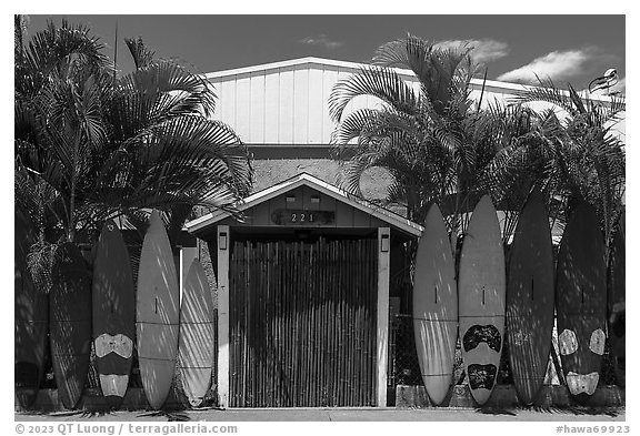 Door framed with surfboards, Paia. Maui, Hawaii, USA (black and white)