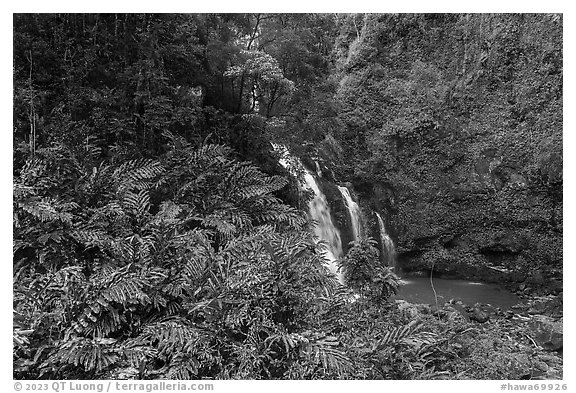 Waterfall along Hana Highway. Maui, Hawaii, USA (black and white)
