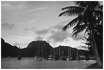 Yachts anchored in Pago Pago harbor. Pago Pago, Tutuila, American Samoa (black and white)