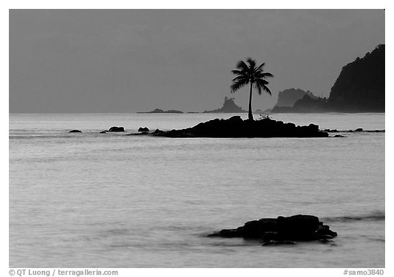 Lone coconut tree on a islet in Leone Bay, dusk. Tutuila, American Samoa (black and white)