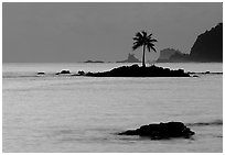 Lone coconut tree on a islet in Leone Bay, dusk. Tutuila, American Samoa (black and white)