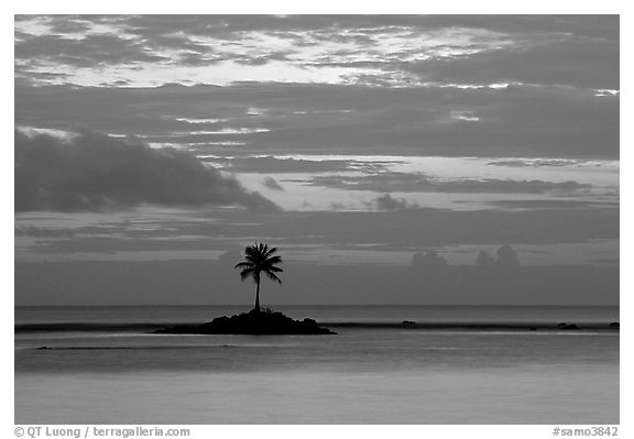Lone palm tree on a islet in Leone Bay, dusk. Tutuila, American Samoa (black and white)