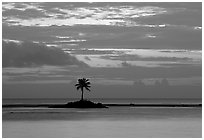 Lone palm tree on a islet in Leone Bay, dusk. Tutuila, American Samoa ( black and white)