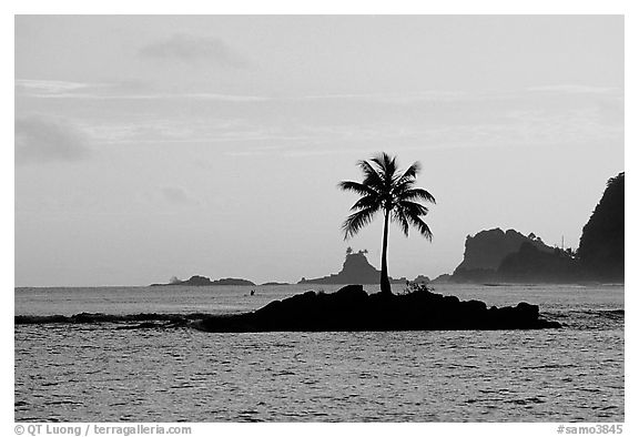 Lone coconut tree on a islet in Leone Bay, sunset. Tutuila, American Samoa
