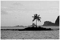 Lone coconut tree on a islet in Leone Bay, sunset. Tutuila, American Samoa ( black and white)