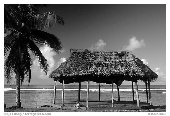 Beach fale with dog near Amouli. Tutuila, American Samoa