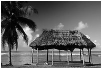 Beach fale with dog near Amouli. Tutuila, American Samoa (black and white)