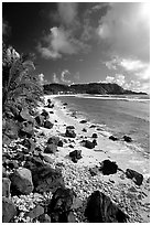 Coast and Cape Mataula. Tutuila, American Samoa (black and white)