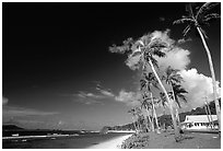 Palm-lined beach in village of Auasi. Tutuila, American Samoa ( black and white)