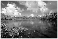 Pala quicksand lake. Aunuu Island, American Samoa (black and white)