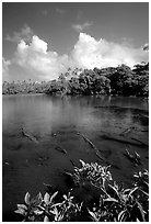 Pala quicksand lake. Aunuu Island, American Samoa ( black and white)