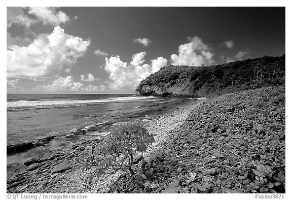North shore. Aunuu Island, American Samoa (black and white)