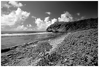 North shore. Aunuu Island, American Samoa ( black and white)