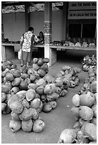 Coconuts at a fruit stand in Iliili. Tutuila, American Samoa (black and white)