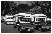 Decorated aiga busses, Pago Pago. Pago Pago, Tutuila, American Samoa ( black and white)