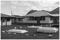 Tombs in backyard, Pagai. Tutuila, American Samoa ( black and white)