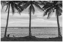 Blue rocks, palm trees, Fagaitua Bay. Tutuila, American Samoa ( black and white)