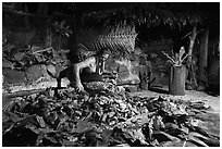 Man retrieving food cooked in Samoan traditional cooking oven powered by hot rocks. Tutuila, American Samoa ( black and white)