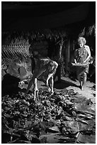 Candy Mann and Tisa Faamuli preparing Samoan Umu Feast. Tutuila, American Samoa ( black and white)