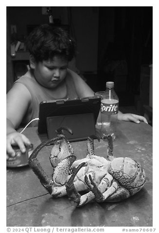 Frozen coconut crab and Samoan boy, Ofu Island. American Samoa (black and white)