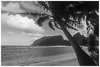 Ofu Island from Olosega. American Samoa ( black and white)