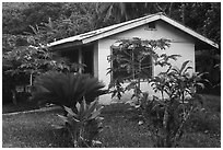 Cottage, Vaoto Lodge, Ofu Island. American Samoa ( black and white)