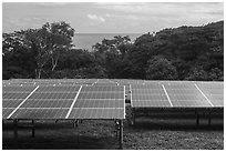 Solar farm, Ofu Island. American Samoa ( black and white)