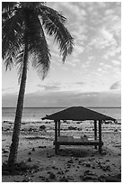 Palm tree and beach shelter, Tau Island. American Samoa ( black and white)