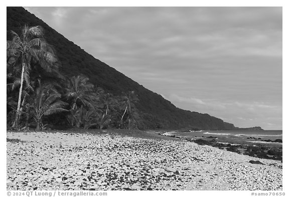 Coral rubble beach fringed by palm trees, Tau Island. American Samoa (black and white)