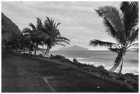 Olosega Island from Northside road, Tau Island. American Samoa ( black and white)