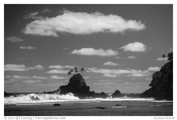 Coastline near Failolo. Tutuila, American Samoa (black and white)