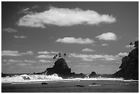 Coastline near Failolo. Tutuila, American Samoa ( black and white)