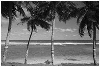 Beach and ocean seem through palm trees painted for flag day, Failolo. Tutuila, American Samoa ( black and white)