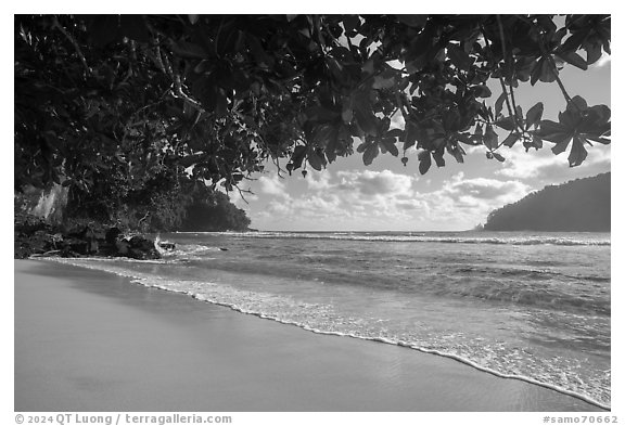 Beach, Fagatele Bay, National Marine Sanctuary of American Samoa. Tutuila, American Samoa (black and white)