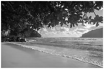 Beach, Fagatele Bay, National Marine Sanctuary of American Samoa. Tutuila, American Samoa ( black and white)