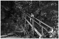 Hiker on staircase to beach, Fagatele Bay. Tutuila, American Samoa ( black and white)