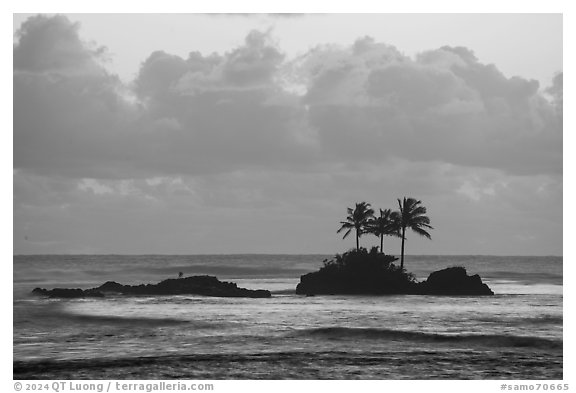 Islets with coconut trees at sunset, Afao. Tutuila, American Samoa (black and white)