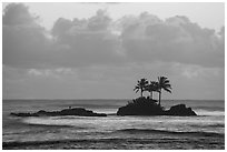 Islets with coconut trees at sunset, Afao. Tutuila, American Samoa ( black and white)