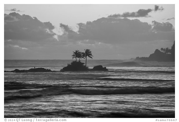 Surf, coastline and islets with palm trees, Afao. Tutuila, American Samoa (black and white)