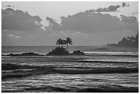 Surf, coastline and islets with palm trees, Afao. Tutuila, American Samoa ( black and white)