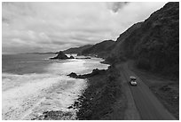 Aerial view of rockyshore near Maa Kamela. Tutuila, American Samoa ( black and white)